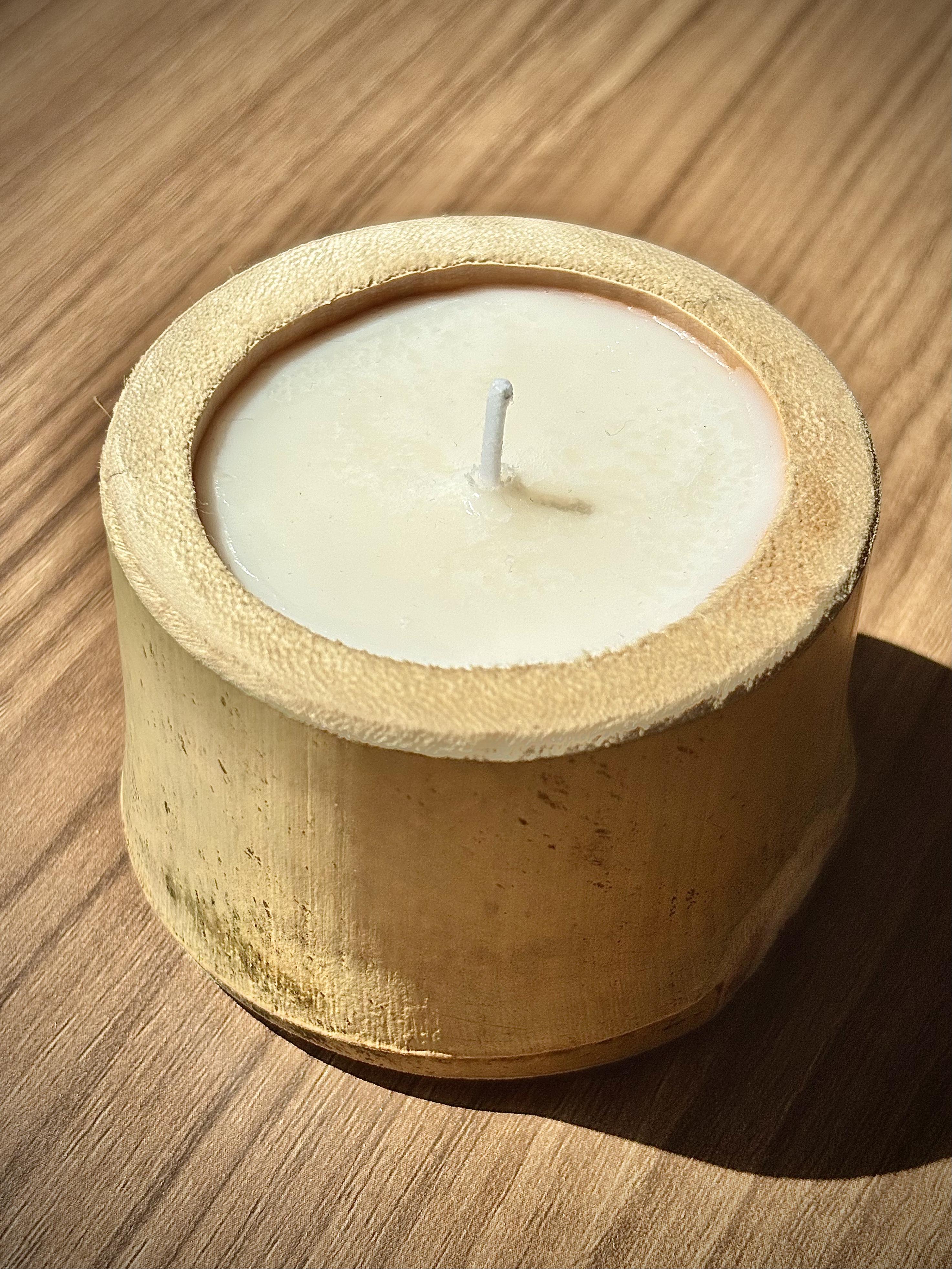 Thảo Mộc Sapa Project